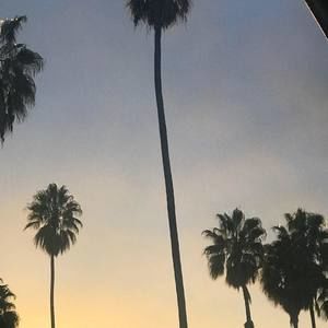 Meet your Posher, Fredy